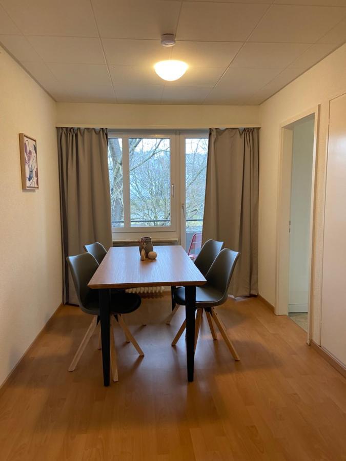 Comfort 1 And 2Bdr Apartment Close To Zurich Airport ภายนอก รูปภาพ